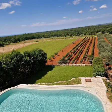Ana With Private Pool Vižinada