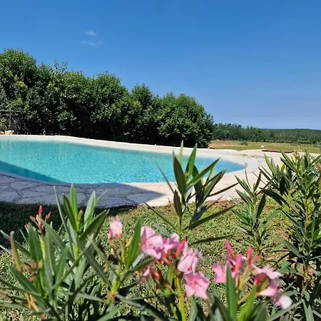 Ana With Private Pool Willa Vižinada