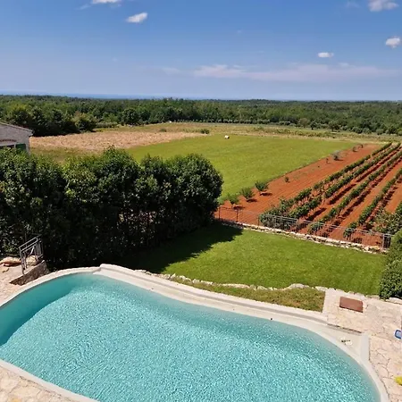 Ana With Private Pool Vižinada